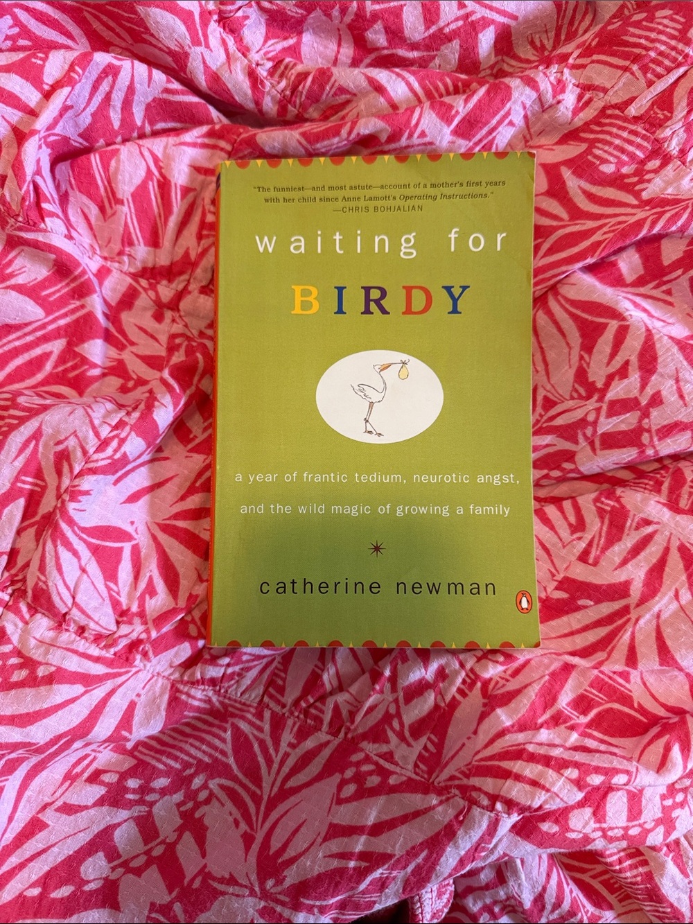 Waiting for Birdy by Catherine Newman - Green Cover